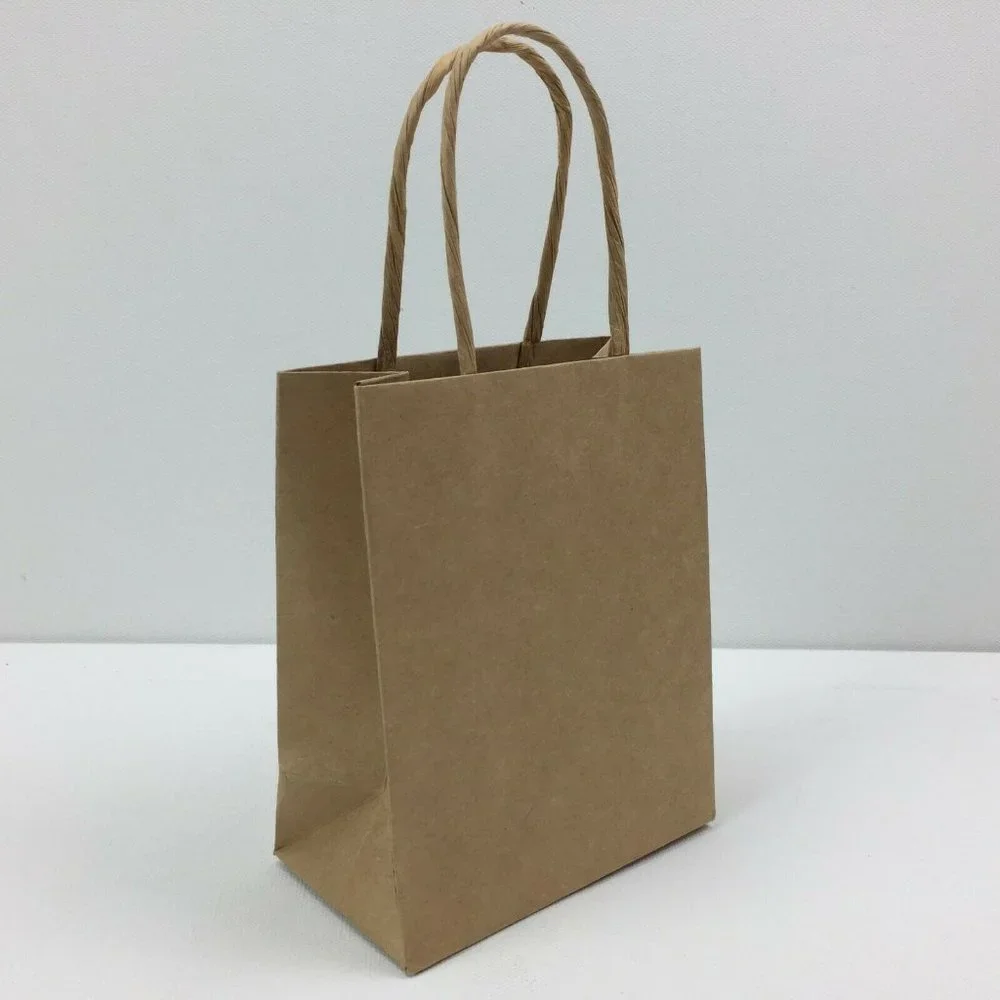 Brown Paper Gift Bag Present Wrapping Shopping Handles Set Of 2 4.5